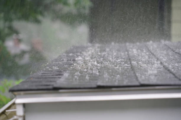 Trusted Sublette, KS Roofing Services Experts
